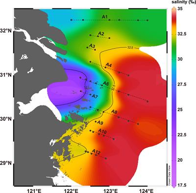Linking Bacterial Communities to Optical-Derived Properties of Porewater DOM in Sediments in the Coastal East China Sea